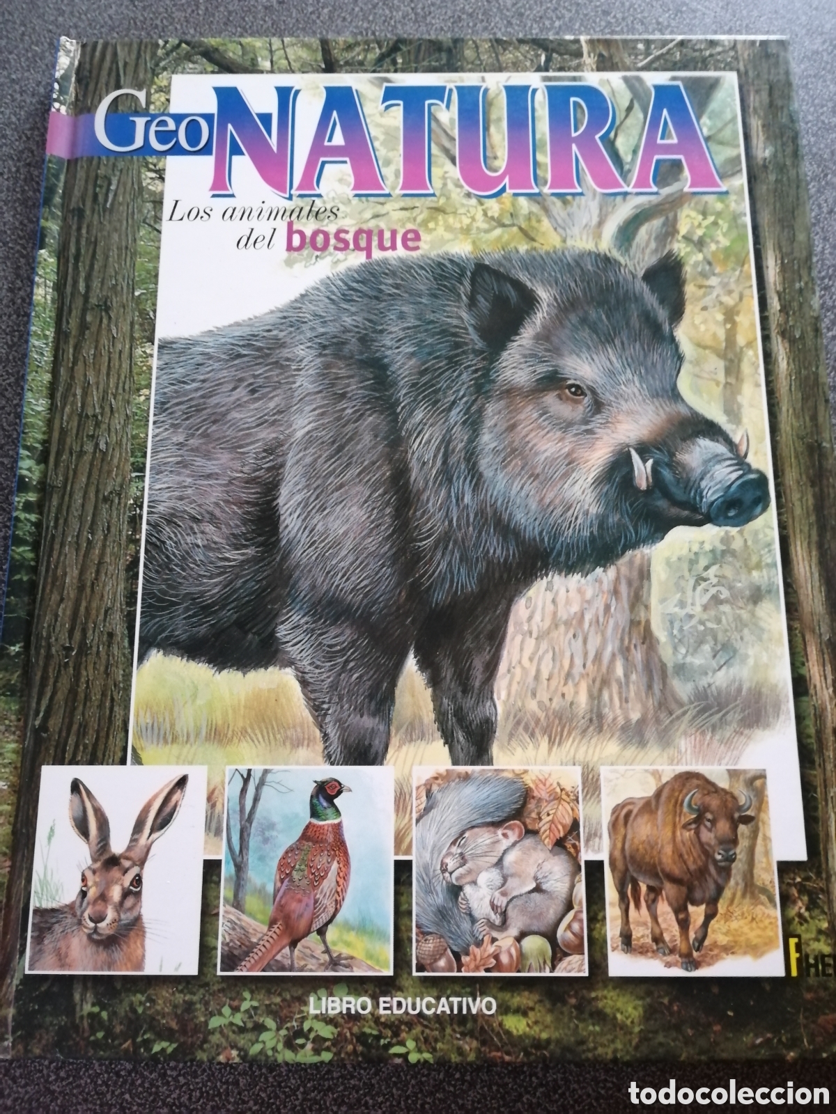 Libros de segunda mano: GEONATURA