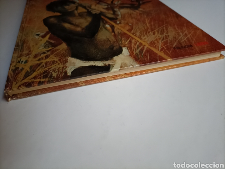 Libros de segunda mano: cinco galopes de caballos y corazones salvajes .. ediciones laida - Foto 3