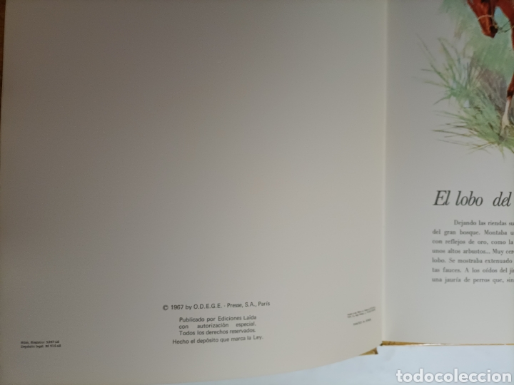 Libros de segunda mano: cinco galopes de caballos y corazones salvajes .. ediciones laida - Foto 11
