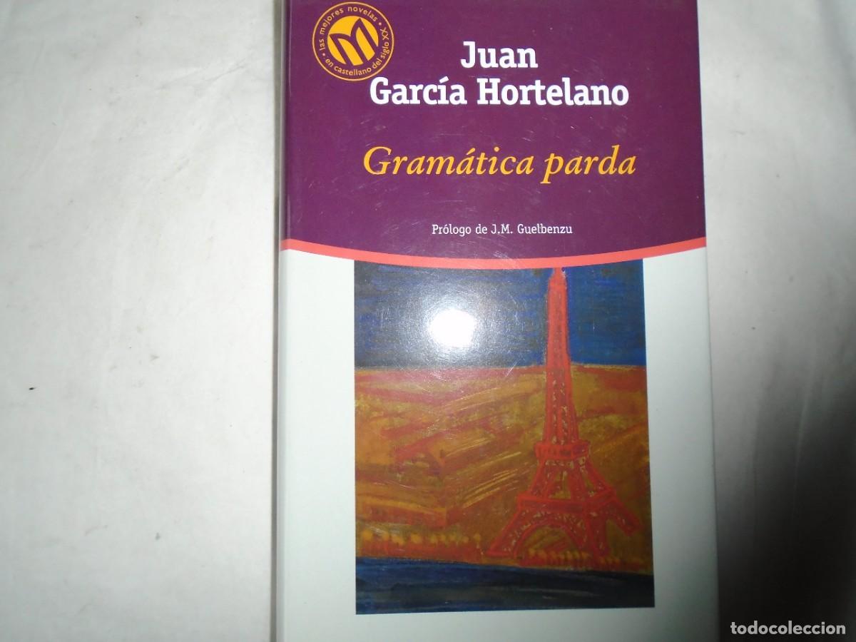 Libros de segunda mano: GRAM&Aacute;TICA PARDA - JUAN GARC&Iacute;A HORTELANO - Foto 1