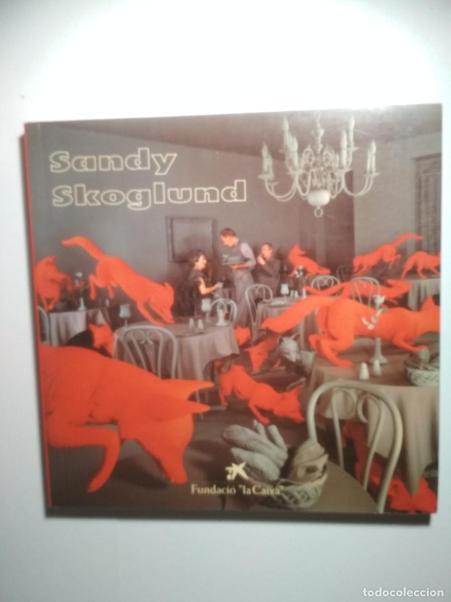 Libros de segunda mano: Sandy Skoglund - libro arte - Foto 1