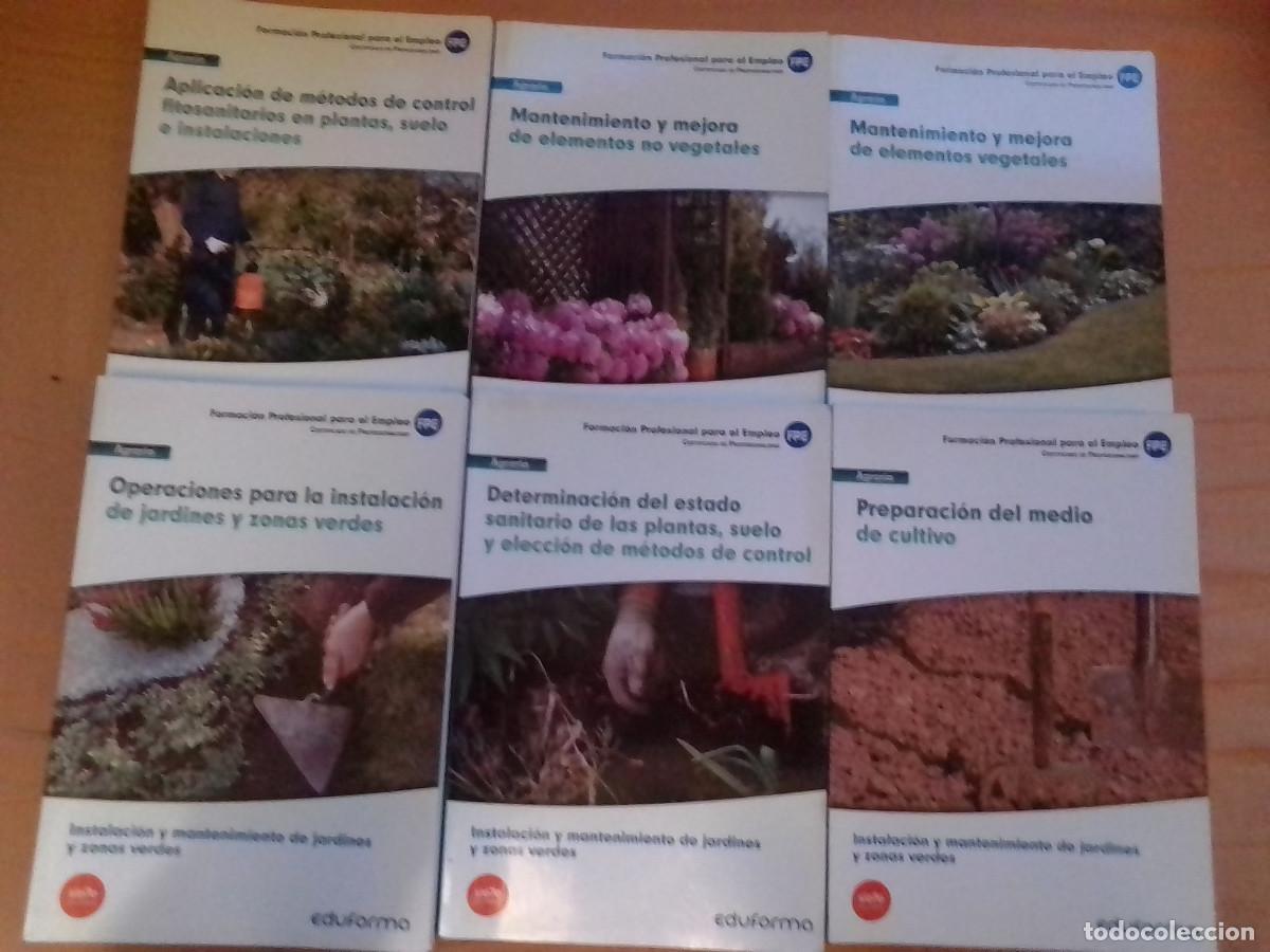 Libri di seconda mano: Lote Instalaci&oacute;n y mantenimiento de jardines y zonas verdes (certificado de profesionalidad)