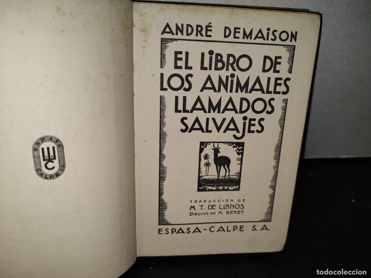 Libros de segunda mano: 53- EL LIBRO DE LOS ANIMALES SALVAJES - ANDR&Eacute; DEMAISON - 40S - 50S - Foto 3