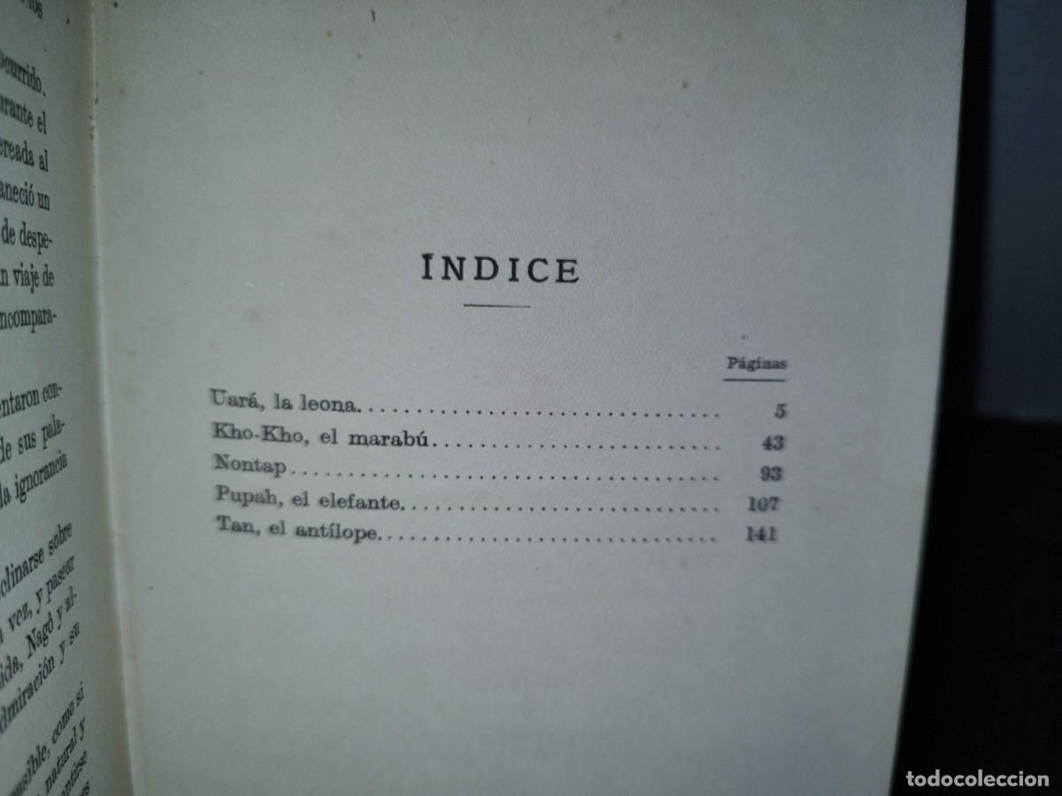 Libros de segunda mano: 53- EL LIBRO DE LOS ANIMALES SALVAJES - ANDR&Eacute; DEMAISON - 40S - 50S - Foto 4