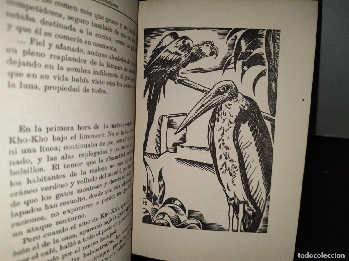 Libros de segunda mano: 53- EL LIBRO DE LOS ANIMALES SALVAJES - ANDR&Eacute; DEMAISON - 40S - 50S - Foto 5