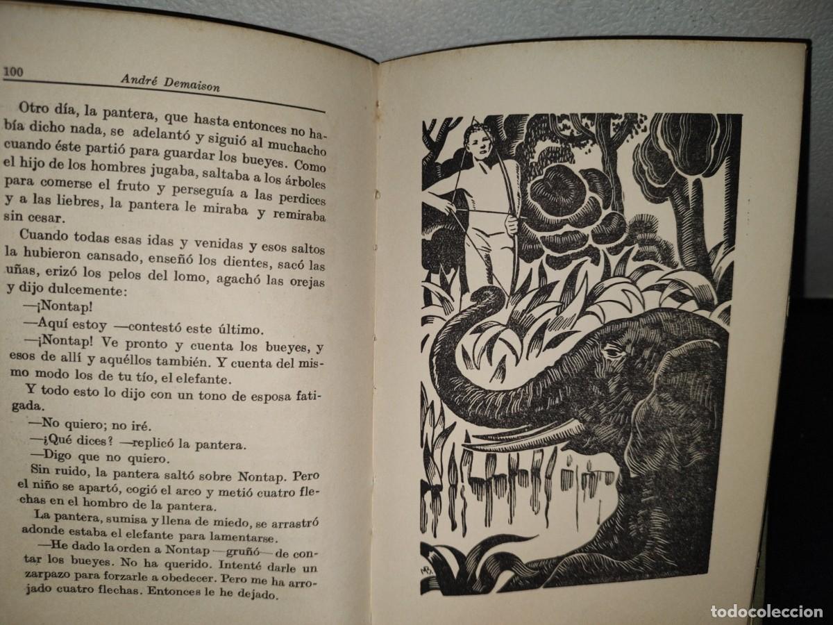Libros de segunda mano: 53- EL LIBRO DE LOS ANIMALES SALVAJES - ANDR&Eacute; DEMAISON - 40S - 50S - Foto 6