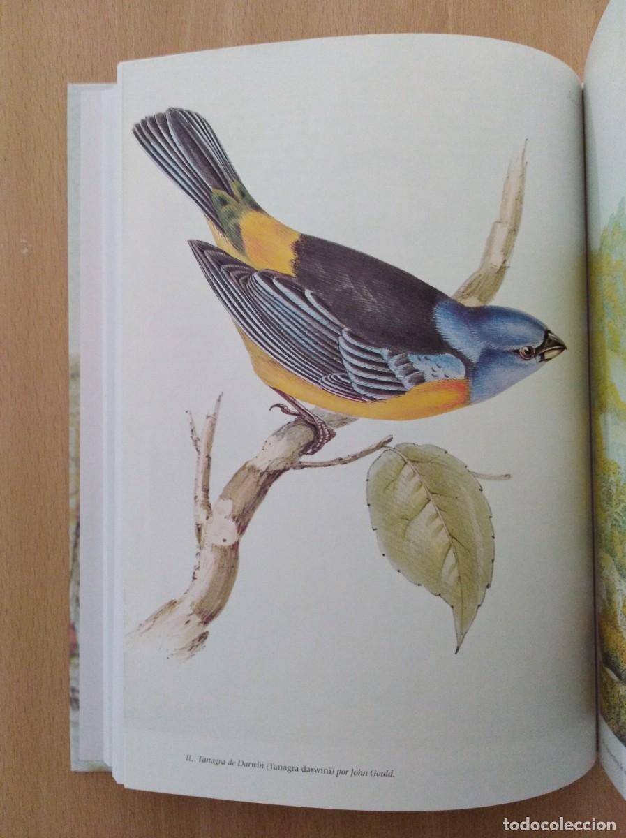 Libros de segunda mano: DARWIN Y EL BEAGLE (1831 - 1836). Alan Moorehead - Foto 10