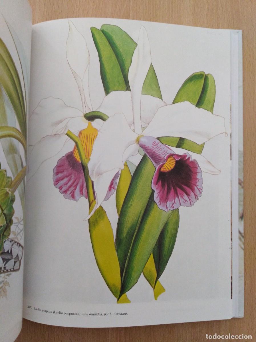 Libros de segunda mano: DARWIN Y EL BEAGLE (1831 - 1836). Alan Moorehead - Foto 11