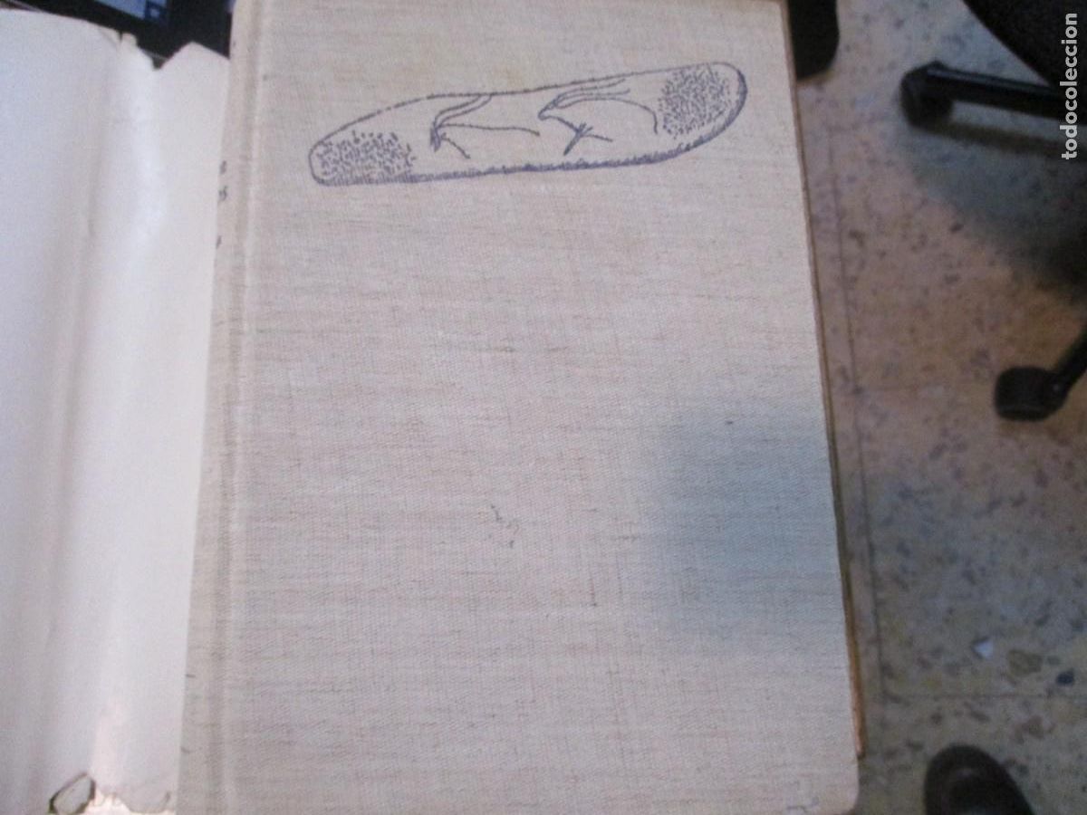 Libros de segunda mano: B.E. LASA Or&iacute;genes de los Vascos (4 Tomos) W16094 - Foto 3
