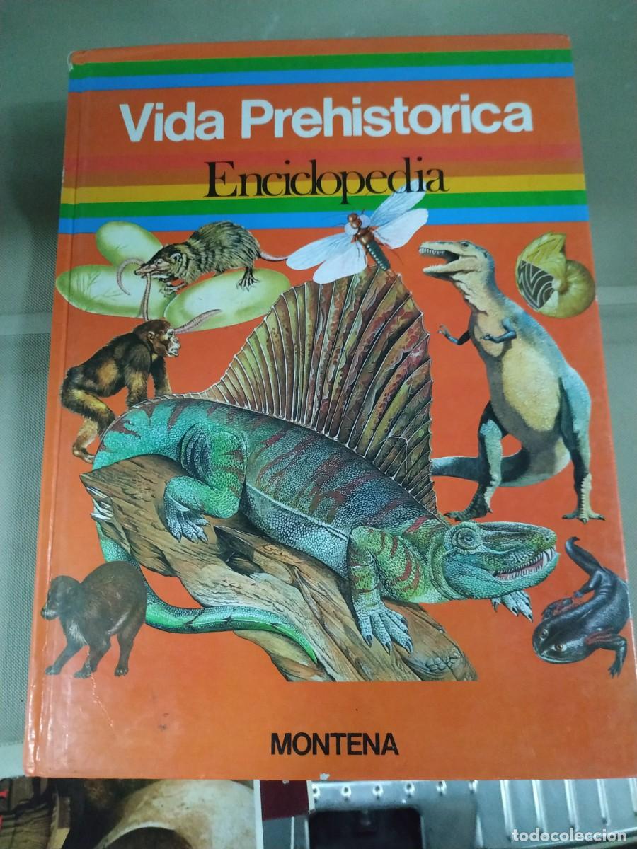 Libros de segunda mano: Vida prehist&oacute;rica. Enciclopedia. Montena - Foto 1