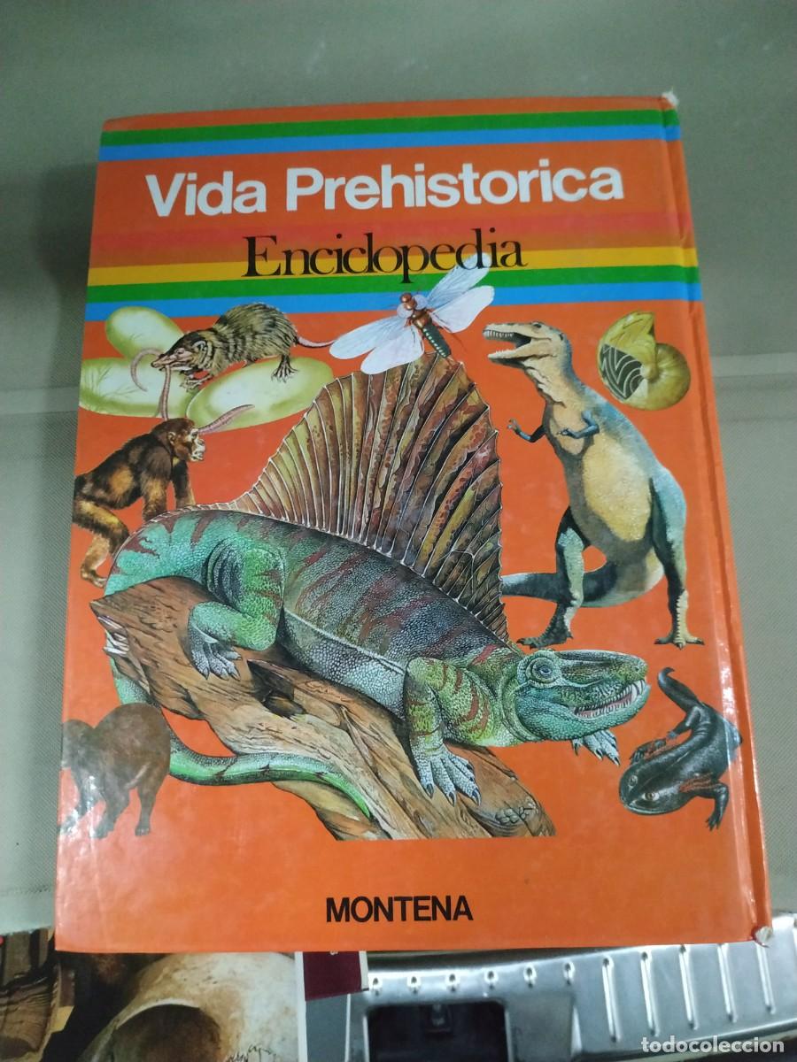 Libros de segunda mano: Vida prehist&oacute;rica. Enciclopedia. Montena - Foto 2