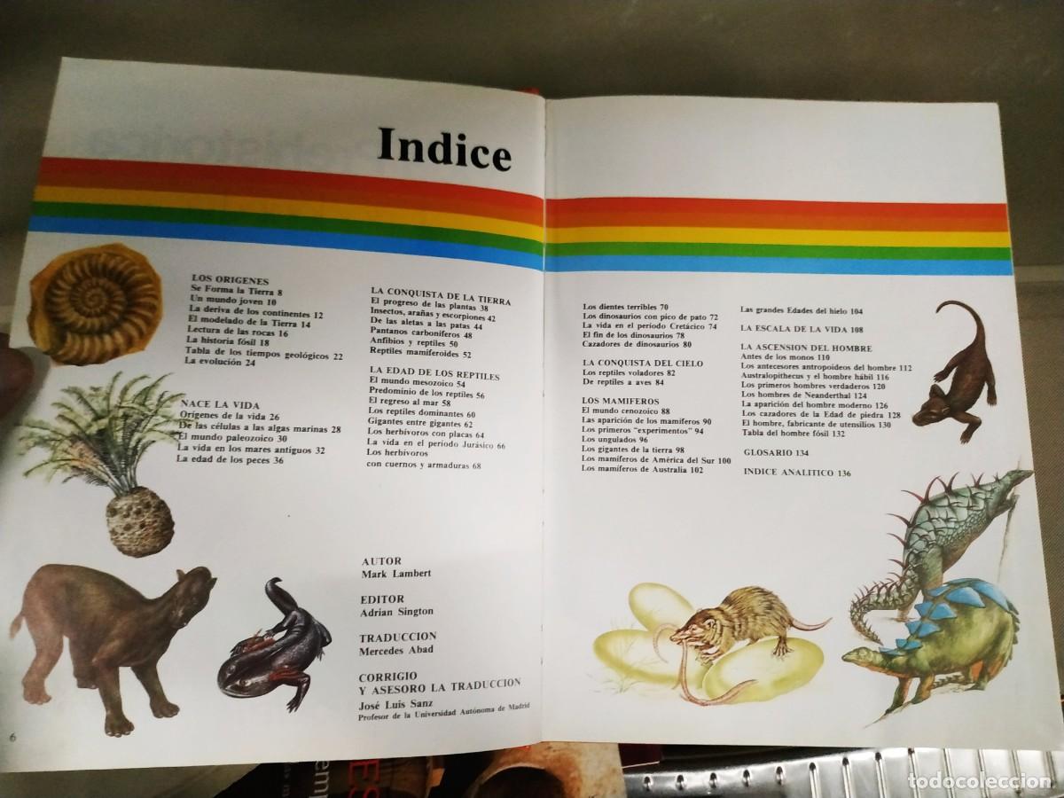 Libros de segunda mano: Vida prehist&oacute;rica. Enciclopedia. Montena - Foto 4