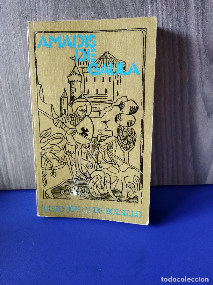 Libros de segunda mano: Amadis de Gaula - Foto 1