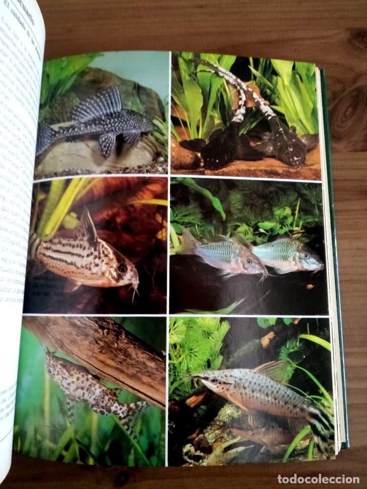 Libros de segunda mano: EL LIBRO DE LOS ACUARIOS. SCHEURMANN, INES. EVEREST. ED. 1988 - Foto 9
