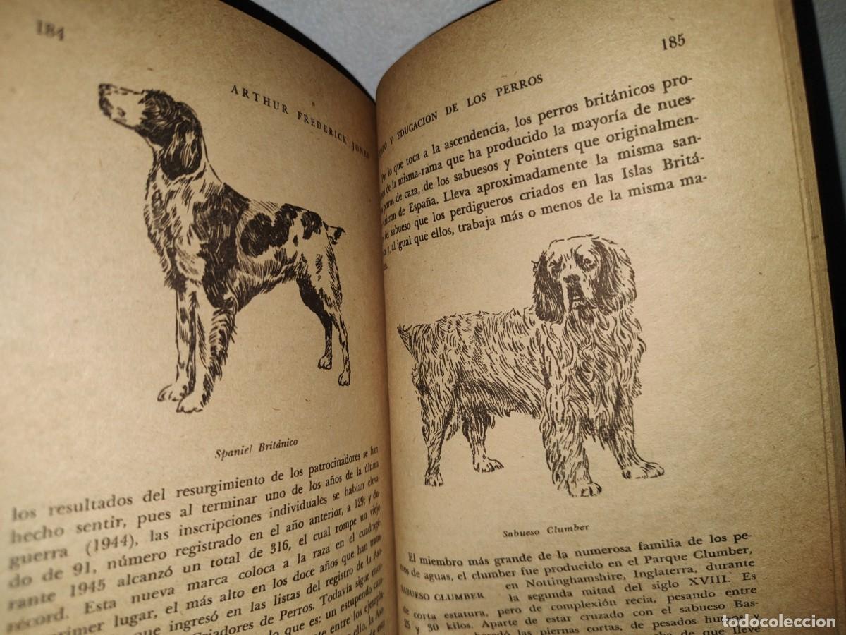 Libros de segunda mano: 54- CUIDADO Y EDUCACI&Oacute;N DE LOS PERROS - ARTHUR FREDERICK JONES - Foto 7