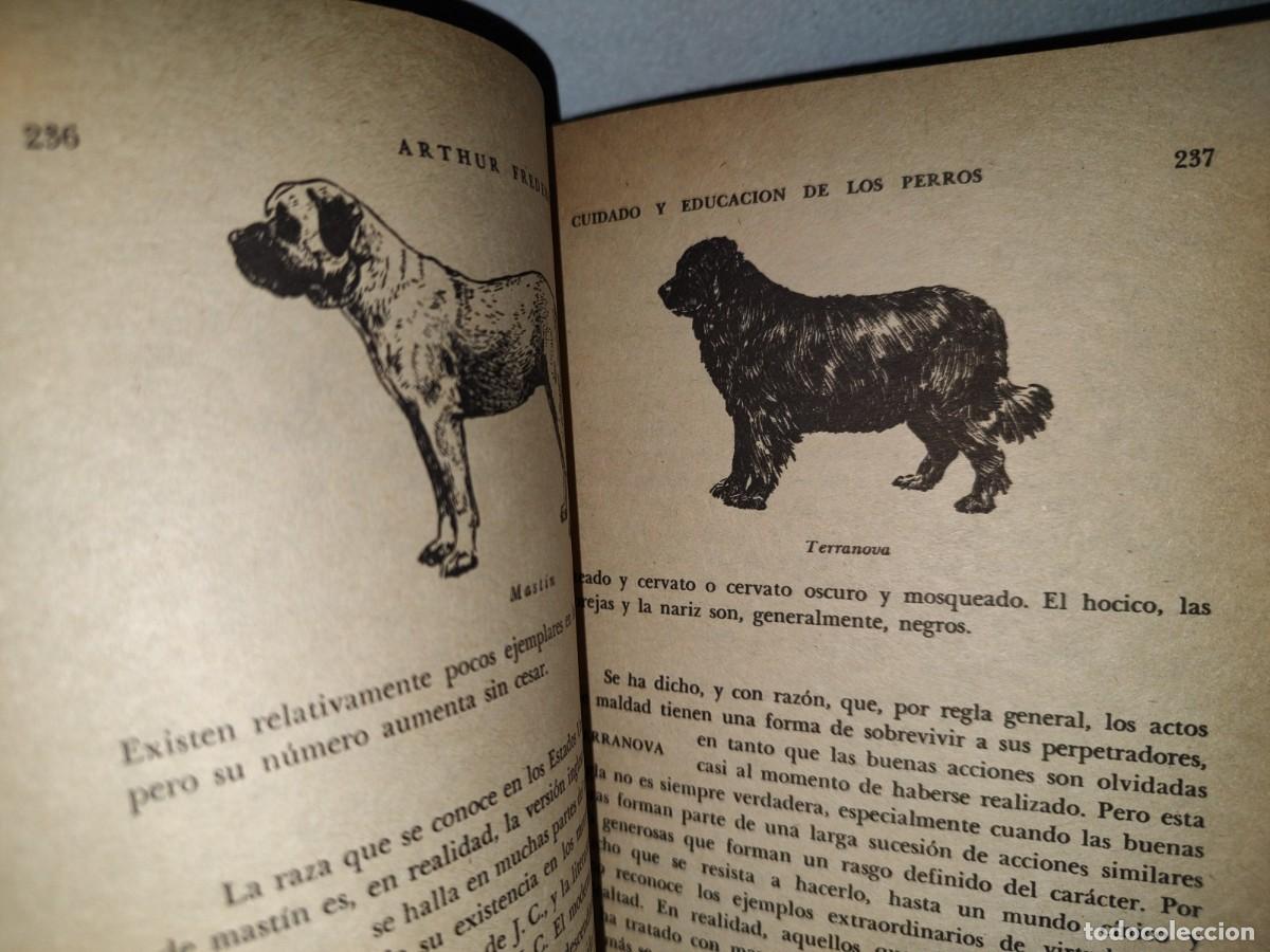 Libros de segunda mano: 54- CUIDADO Y EDUCACI&Oacute;N DE LOS PERROS - ARTHUR FREDERICK JONES - Foto 8