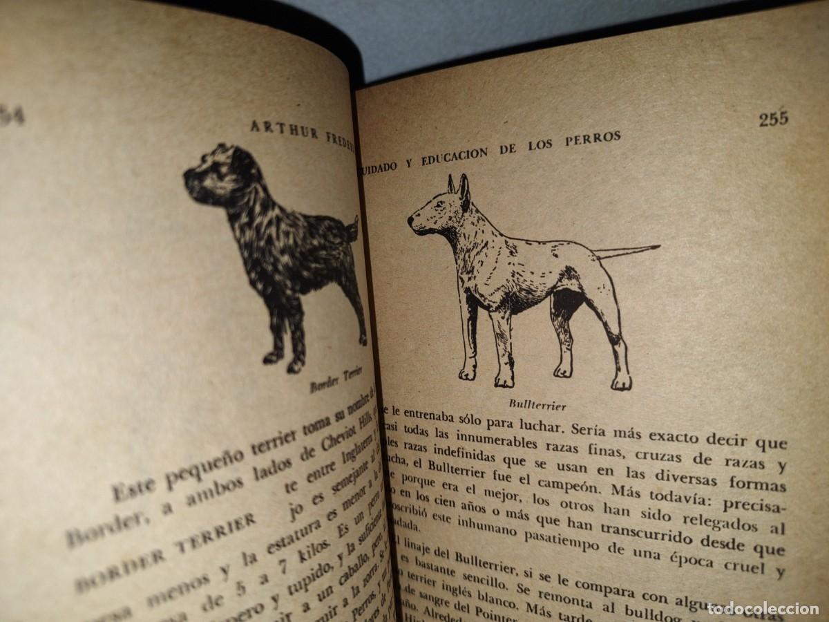 Libros de segunda mano: 54- CUIDADO Y EDUCACI&Oacute;N DE LOS PERROS - ARTHUR FREDERICK JONES - Foto 9