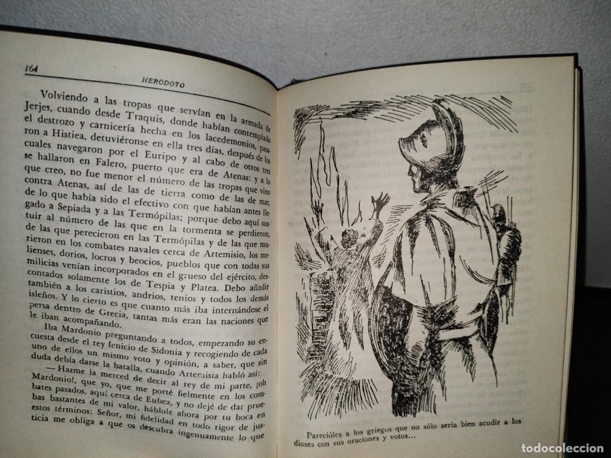 Libros de segunda mano: 55- GRECIA Y SUS HOMBRES - HER&Oacute;DOTO - Foto 7