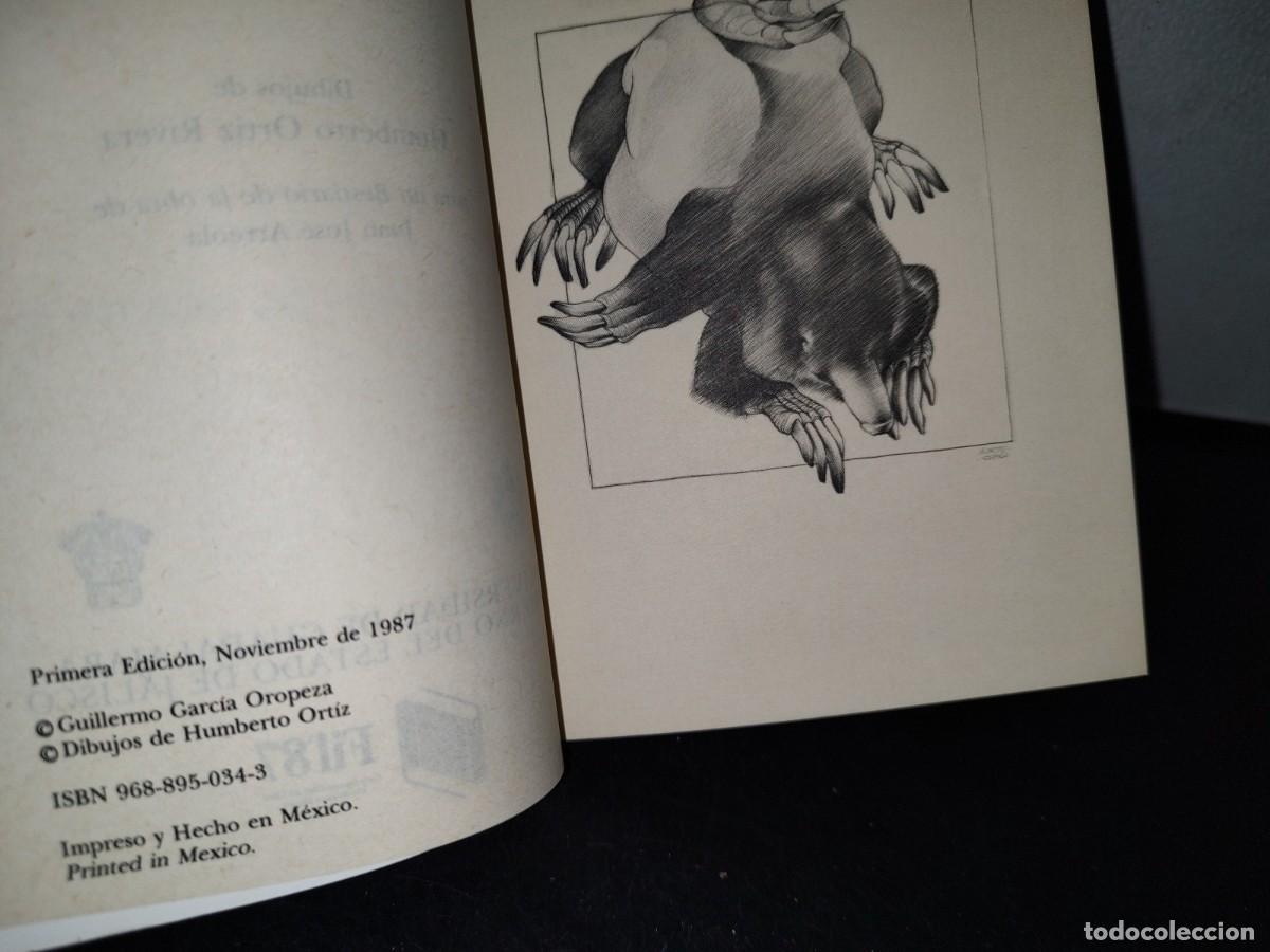 Libros de segunda mano: 55- DEVOCI&Oacute;N DE ARREOLA - GUILLERMO GARC&Iacute;A OROPEZA - Foto 5