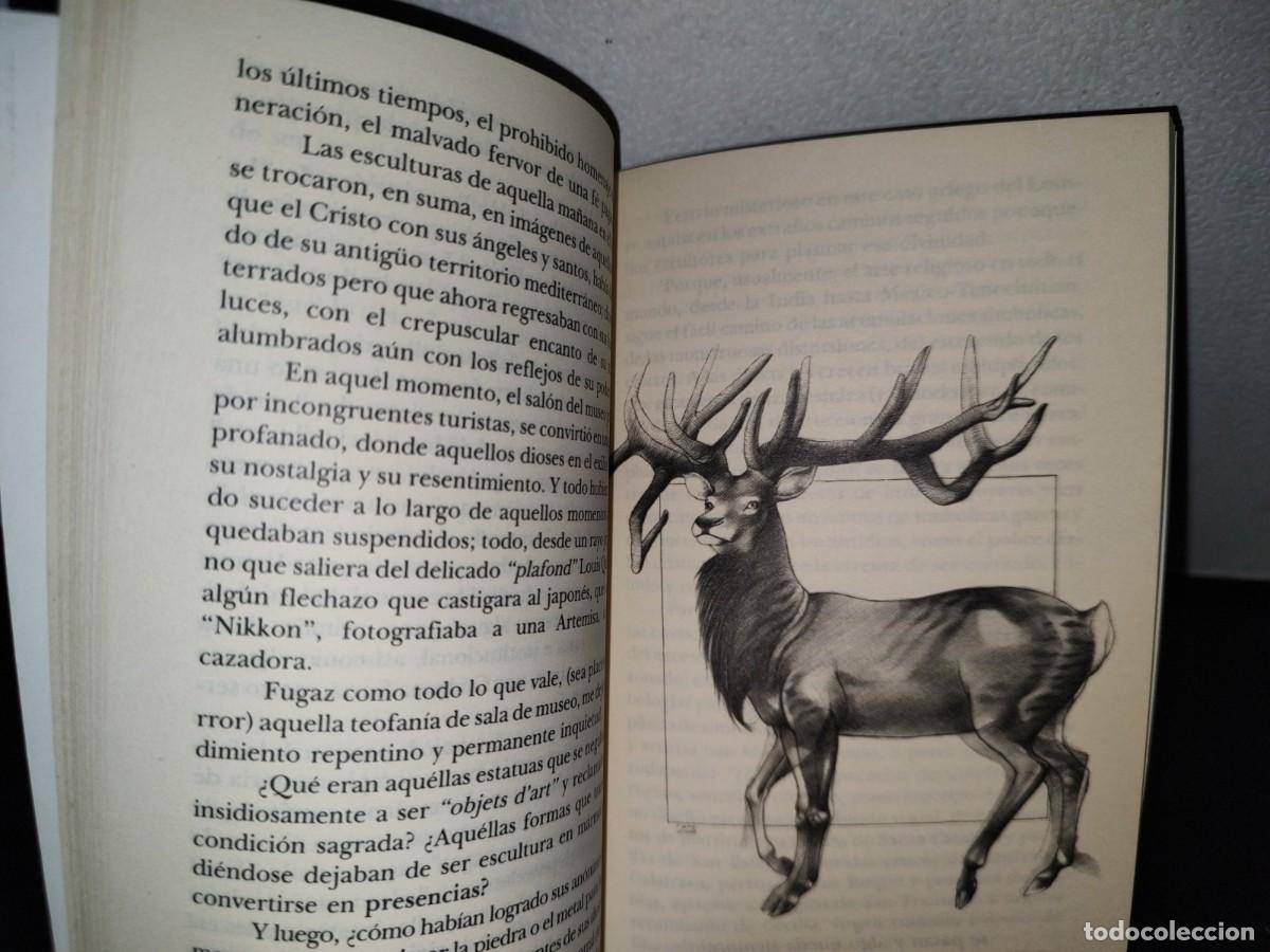 Libros de segunda mano: 55- DEVOCI&Oacute;N DE ARREOLA - GUILLERMO GARC&Iacute;A OROPEZA - Foto 7