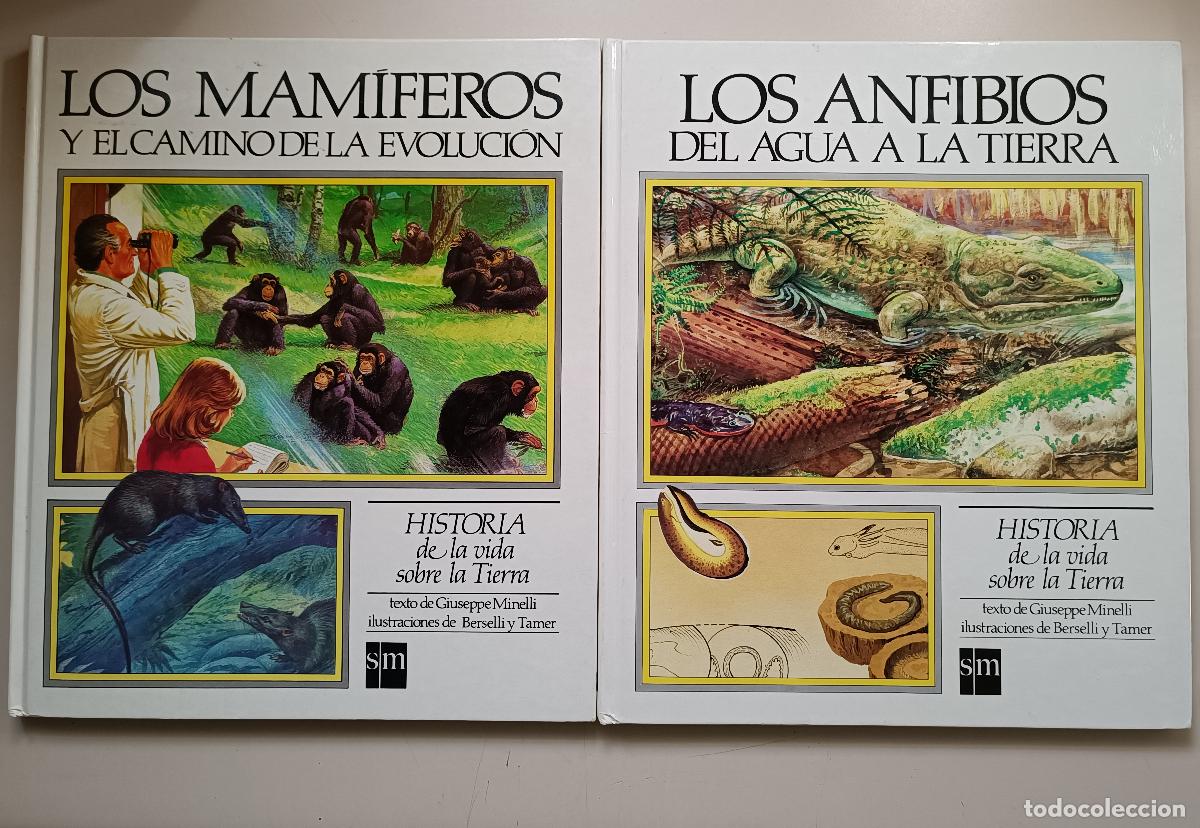Libros de segunda mano: LOS ANFIBIOS Y LOS MAMIFEROS. HISTORIA DE LA EVOLUCION - Foto 1