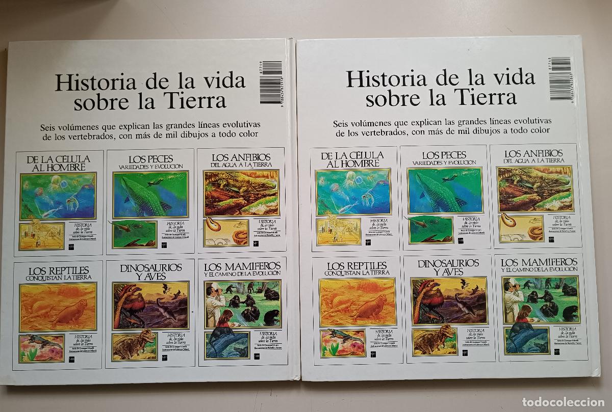 Libros de segunda mano: LOS ANFIBIOS Y LOS MAMIFEROS. HISTORIA DE LA EVOLUCION - Foto 2