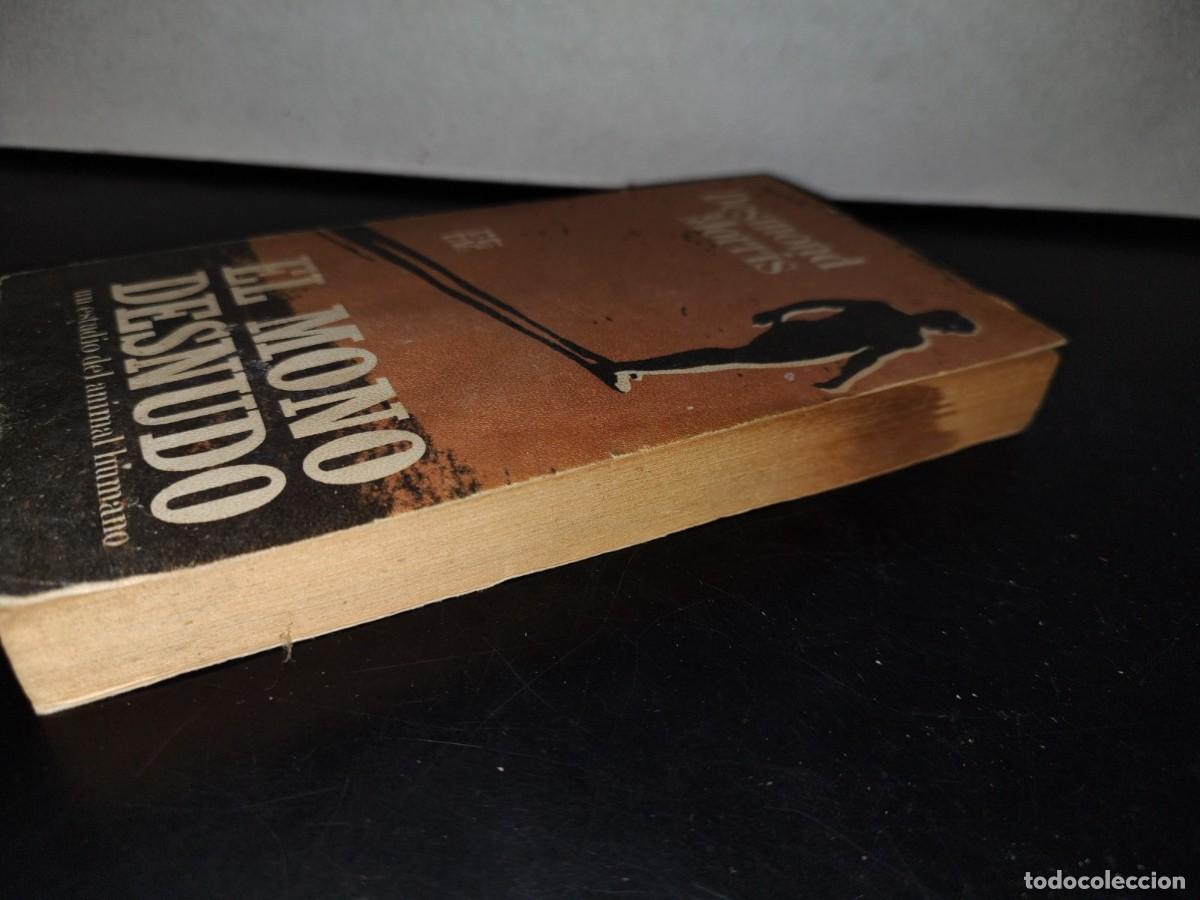 Libros de segunda mano: 56- EL MONO DESNUDO - DESMOND MORRIS - Foto 4