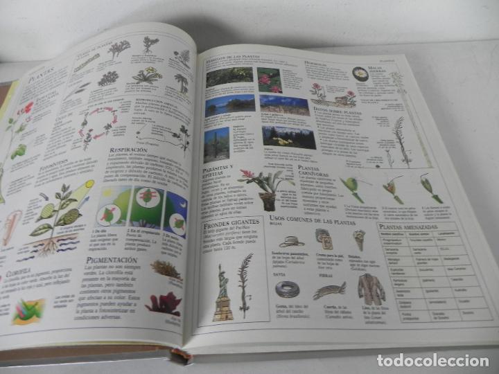 Libros de segunda mano: EL GRAN LIBRO DE CONSULTA (EL PA&Iacute;S/ALTEA-1994 - Foto 4
