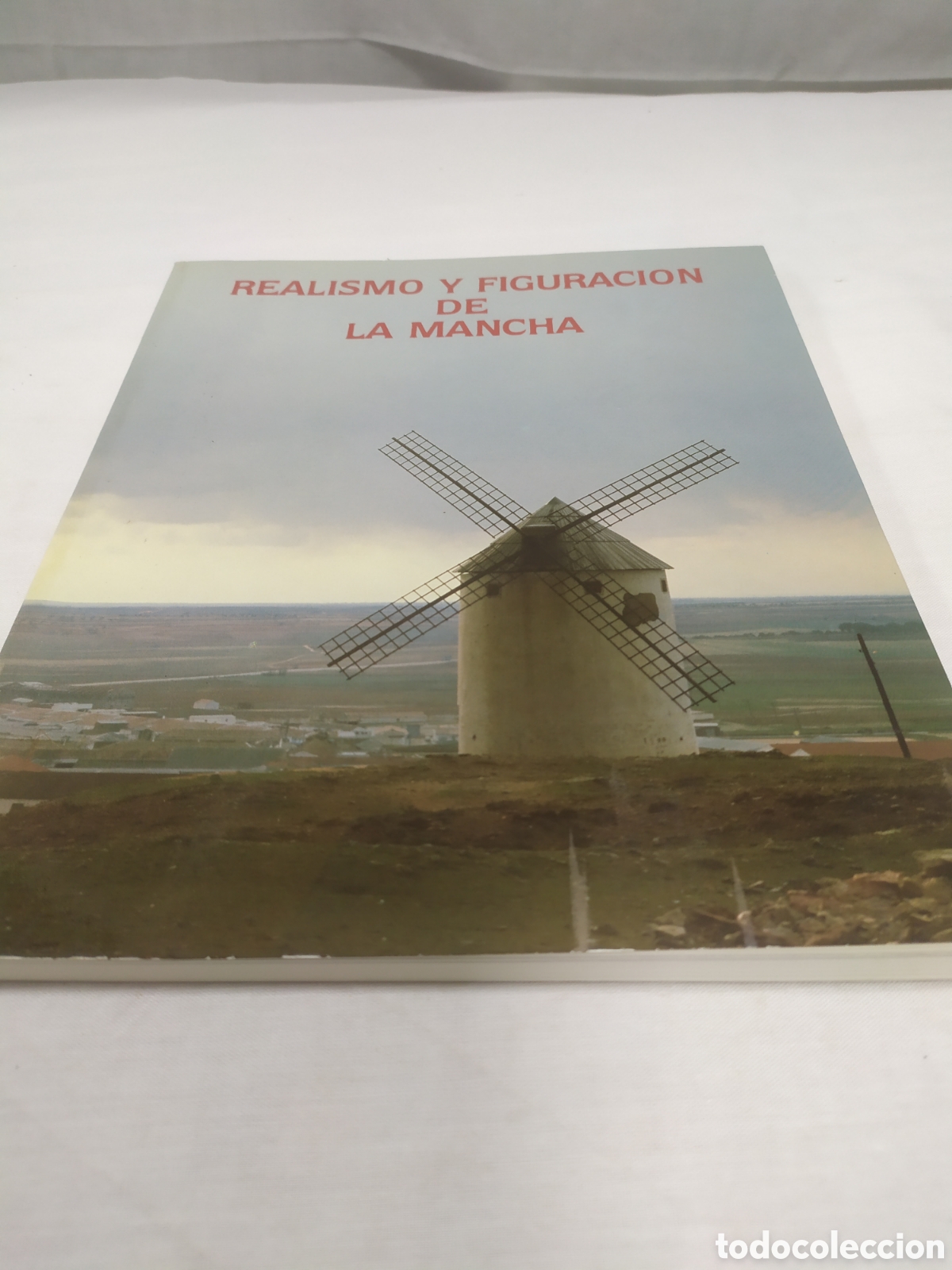 Livres d'occasion: Realismo y figuraci&oacute;n de La Mancha. Museo provincial de Ciudad Real, 1986