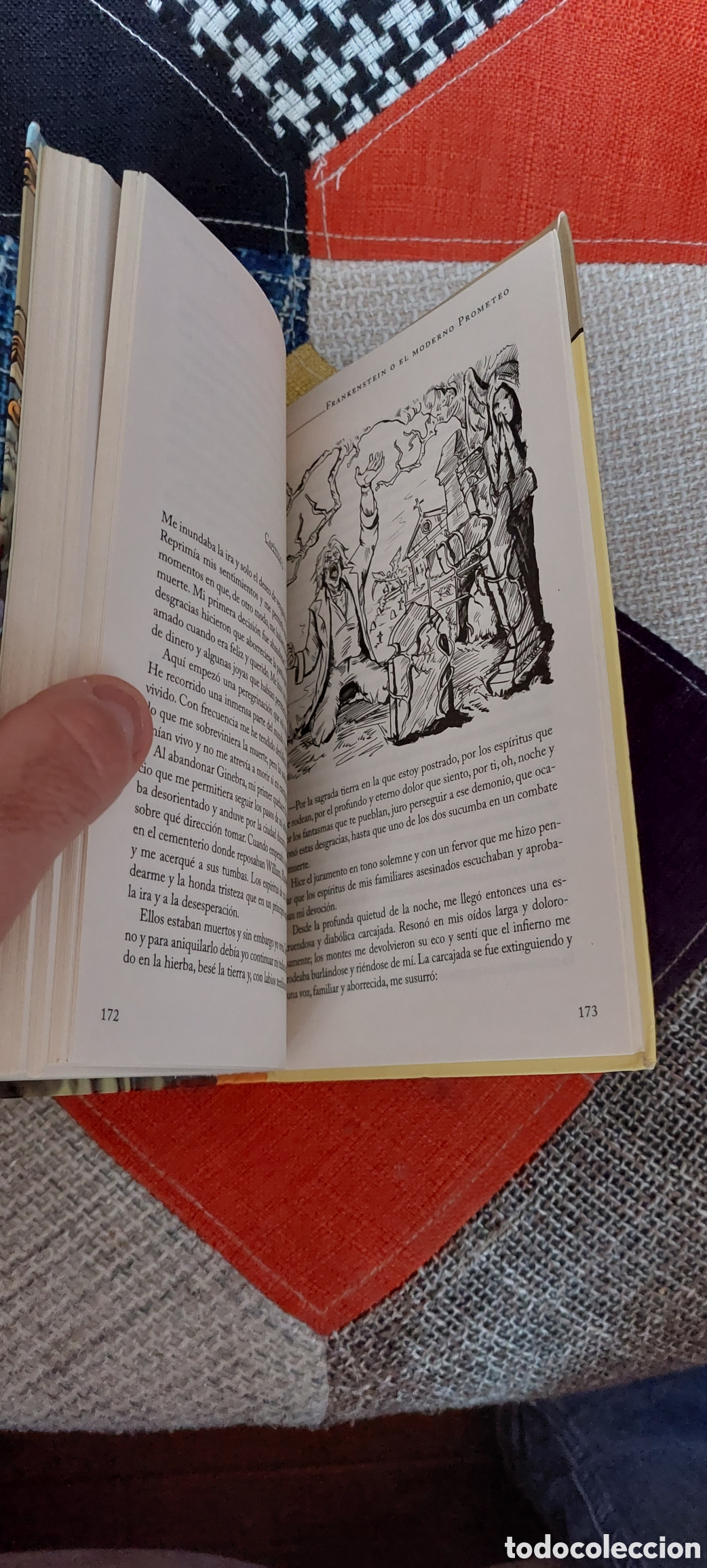 Libros de segunda mano: Libro Frankenstein -Mary Shelley- CLasicos Juveniles- - Foto 6