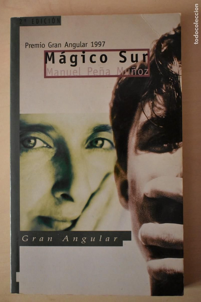 Libros de segunda mano: M&aacute;gico Sur. Manuel Pe&ntilde;a Mu&ntilde;oz - Foto 1