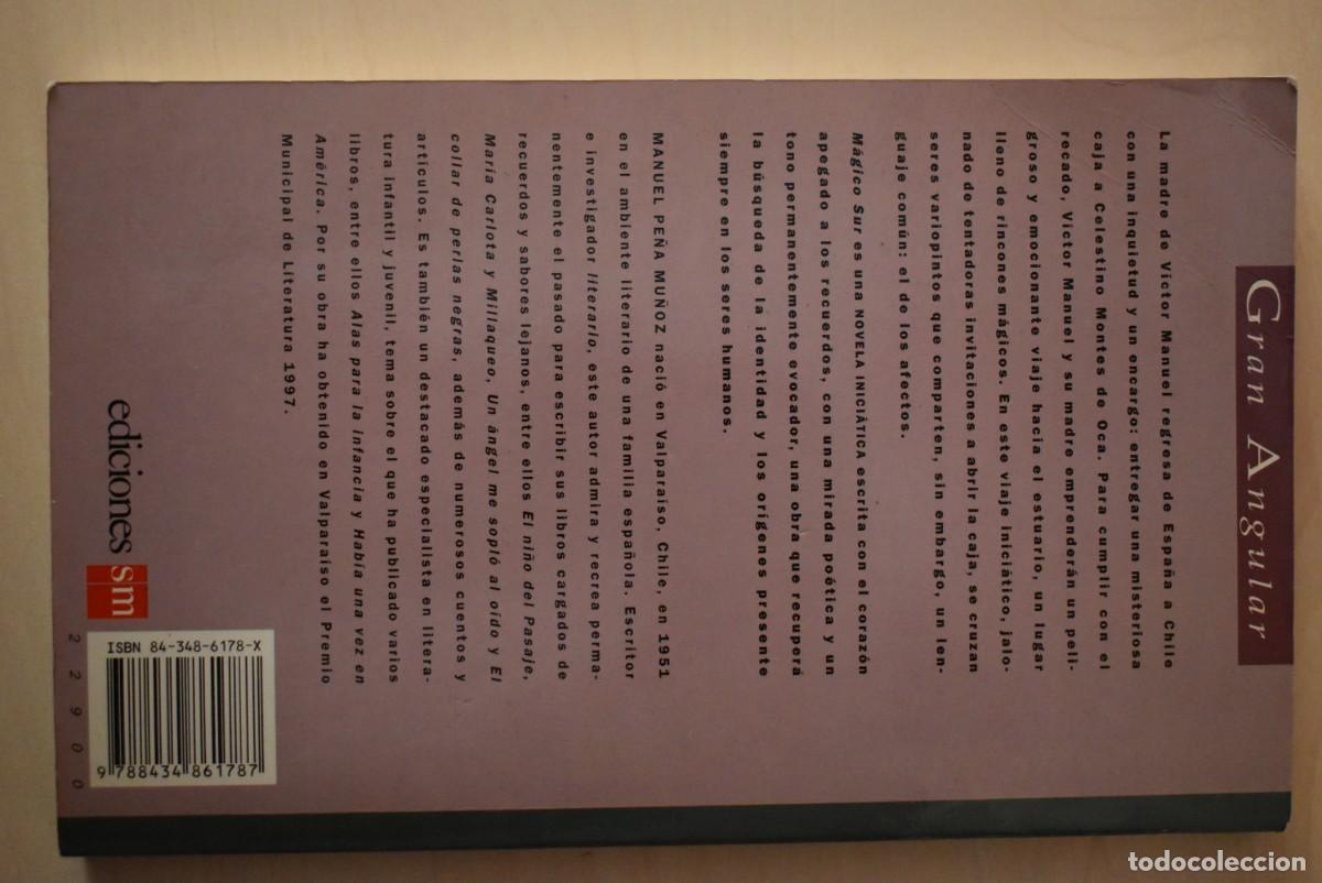 Libros de segunda mano: M&aacute;gico Sur. Manuel Pe&ntilde;a Mu&ntilde;oz - Foto 3
