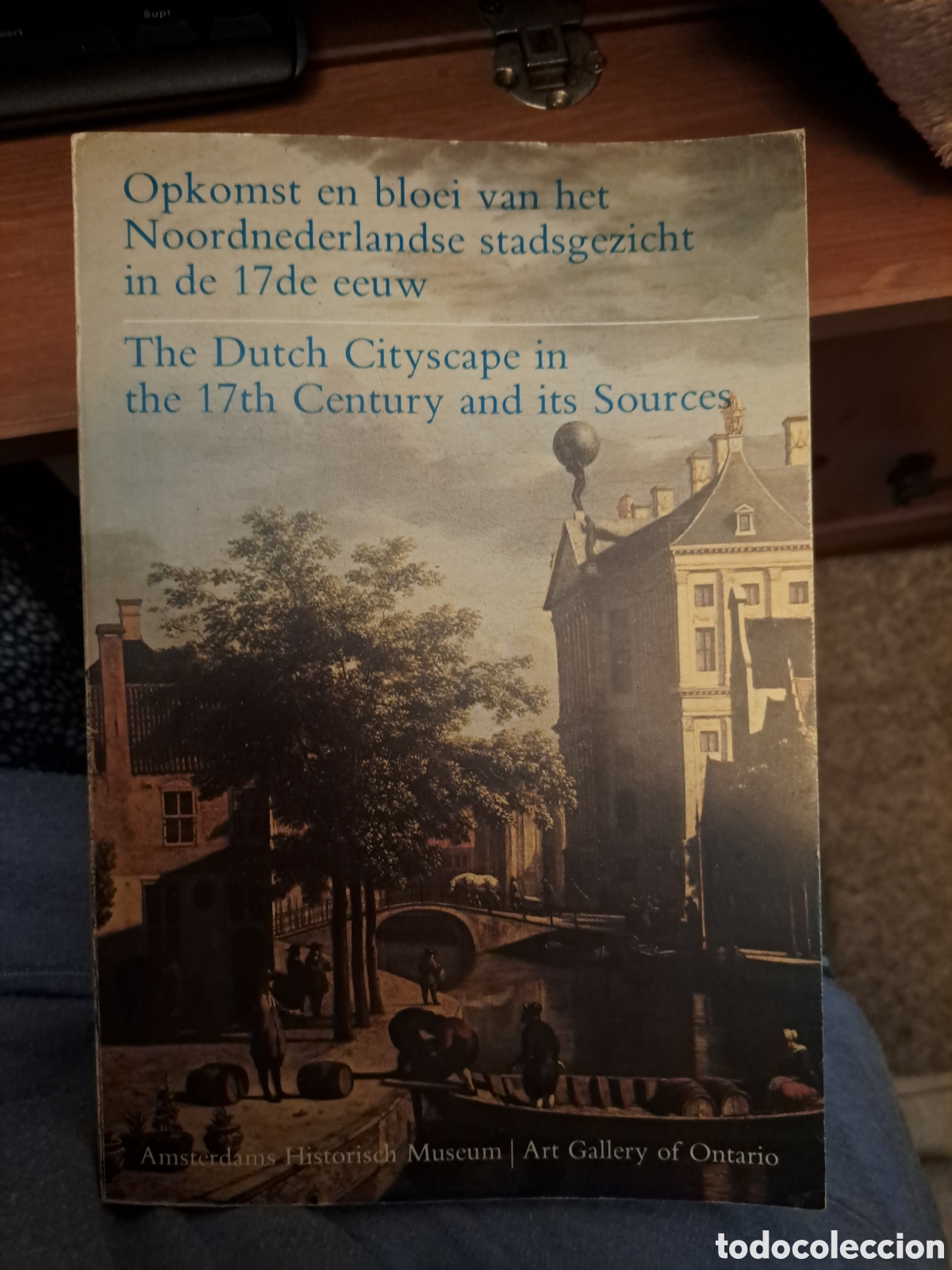 Libros de segunda mano: The Dutch Cityscape in the 17th Century and its Sources