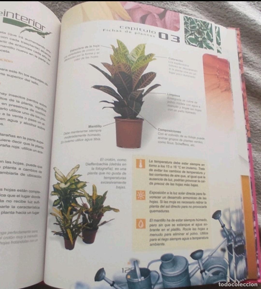 Libros de segunda mano: Gran libro Jardiner&iacute;a interior - Foto 2