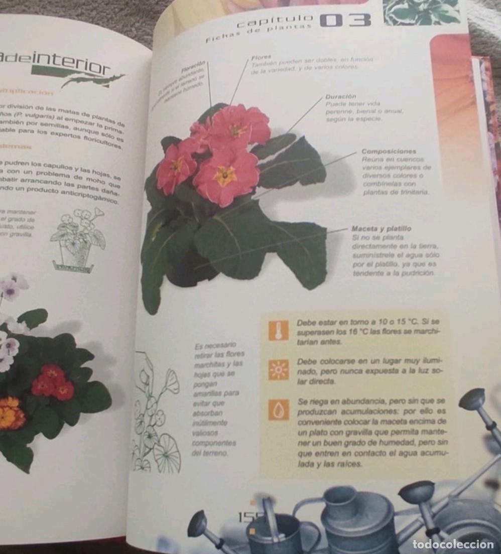 Libros de segunda mano: Gran libro Jardiner&iacute;a interior - Foto 3