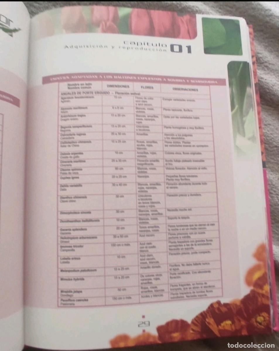 Libros de segunda mano: Gran libro Jardiner&iacute;a interior - Foto 4