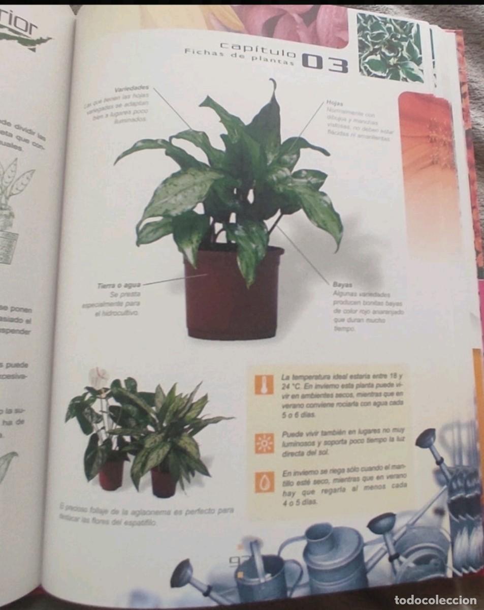 Libros de segunda mano: Gran libro Jardiner&iacute;a interior - Foto 5