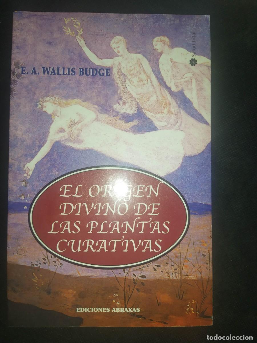 Libros de segunda mano: El Origen Divino de las Plantas Curativas - E.A. Wallis Budge - Foto 1