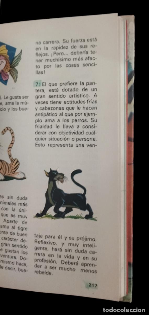 Libros de segunda mano: Manual del Joven Excursionista. Buru Lan 1973. Disney. - Foto 7
