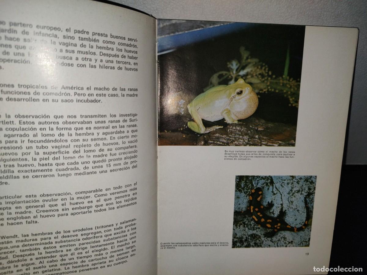 Libros de segunda mano: 57- EL MISTERIO DE LA VIDA - DR- M. GARRIGA ROCA - 1972 - Foto 5