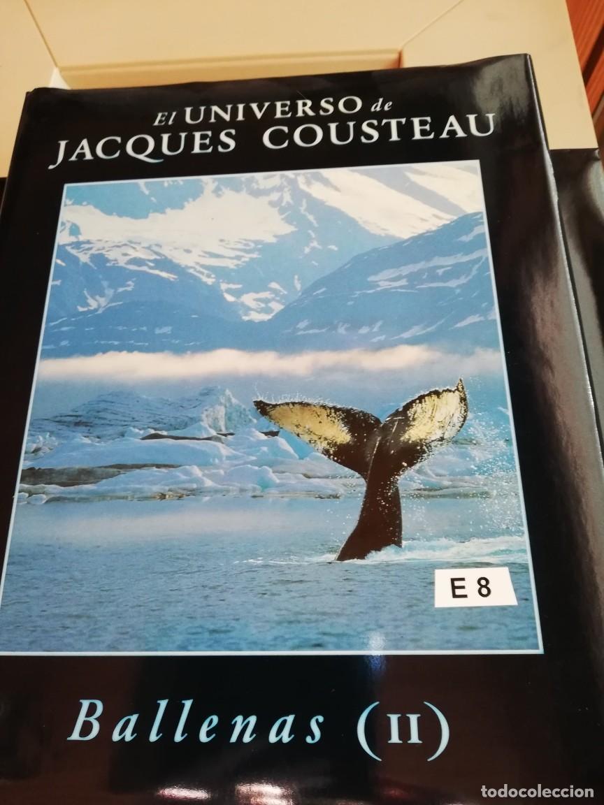 Libros de segunda mano: EL UNIVERSO DE JACQUES COUSTEAU - PLANETA - Foto 7