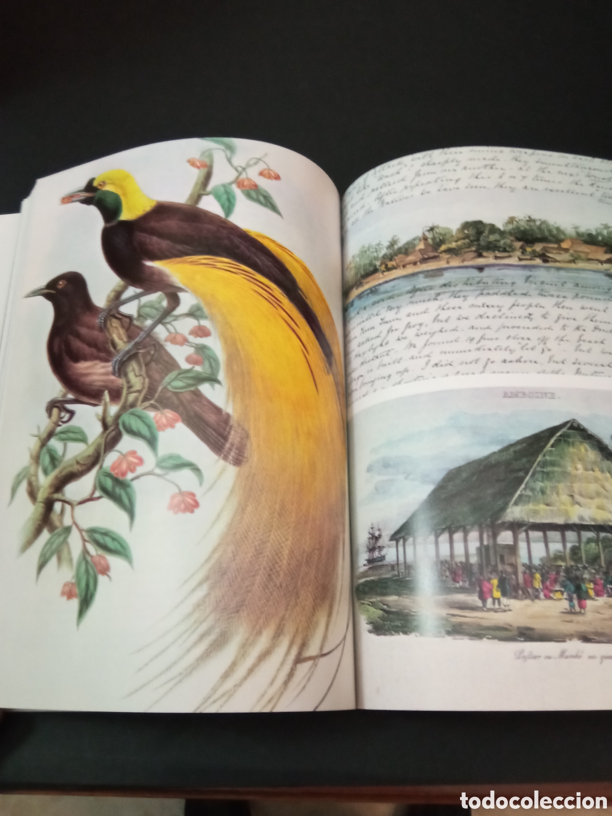 Libros de segunda mano: Libro El viaje del Challenger - Foto 4