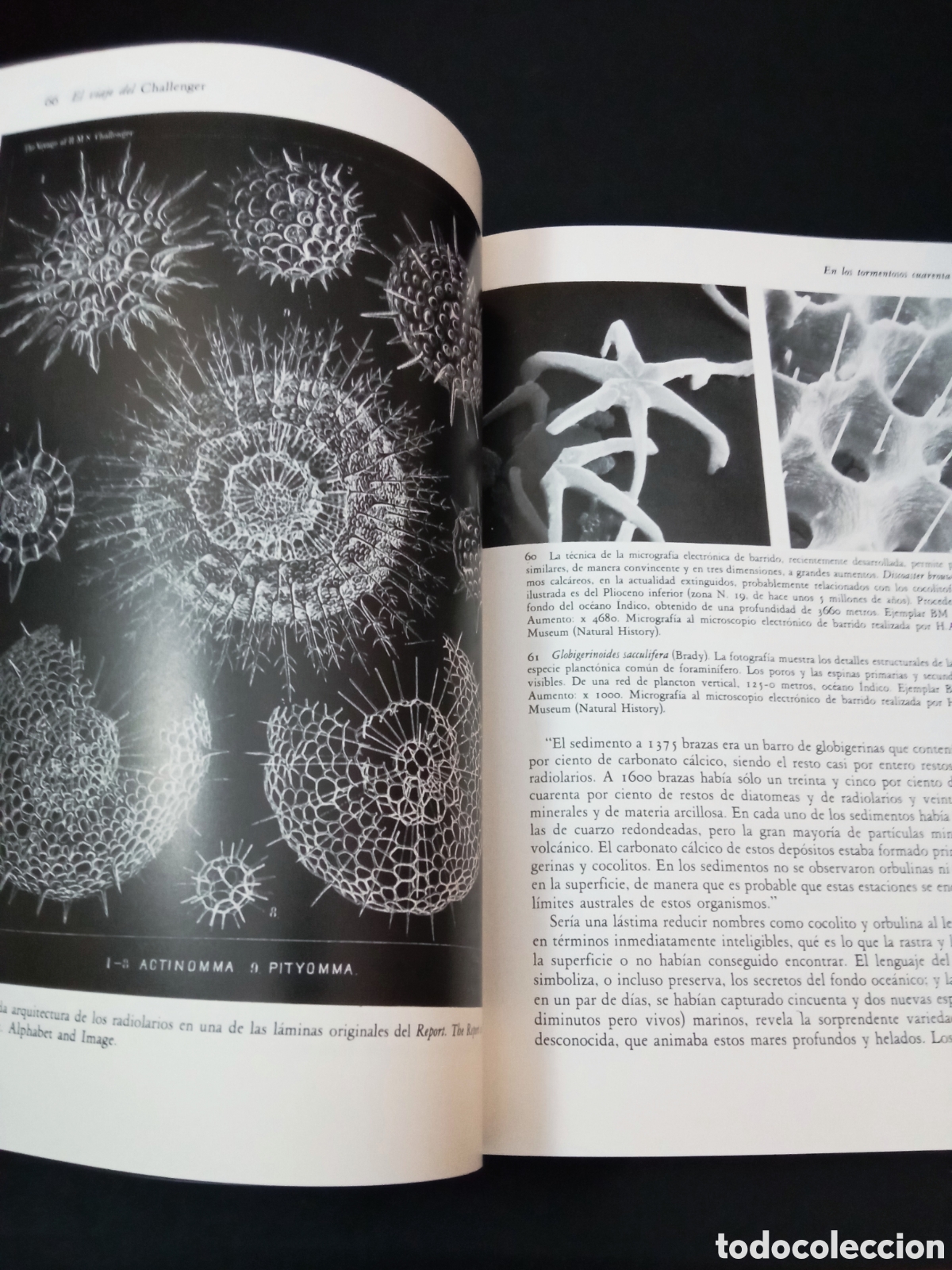 Libros de segunda mano: Libro El viaje del Challenger - Foto 8