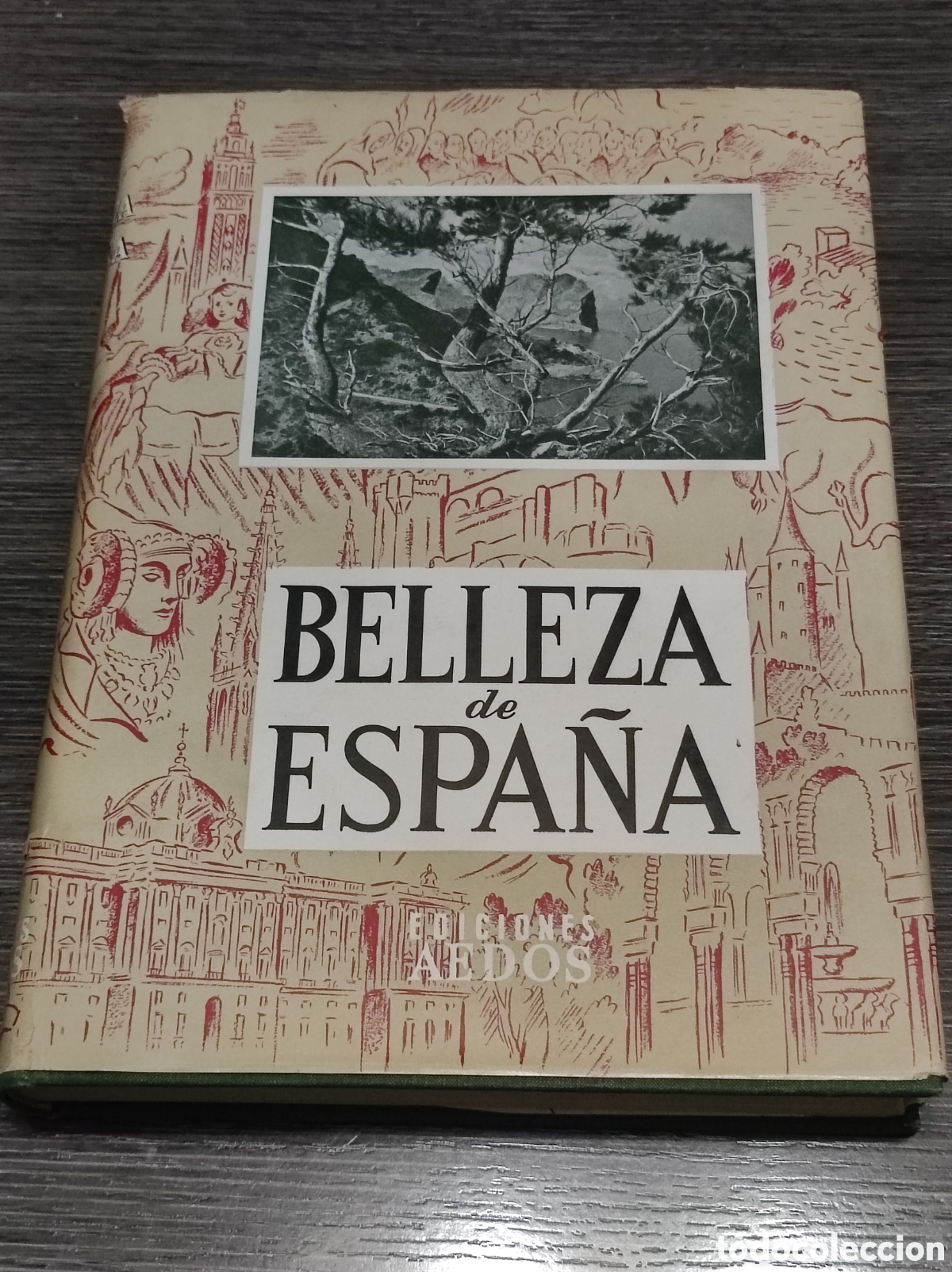 Libros de segunda mano: Belleza de Espa&ntilde;a gu&iacute;a de arte y paisaje ediciones Aedos