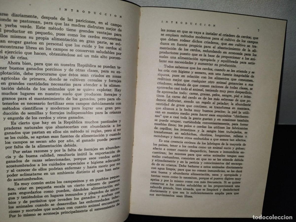 Libros de segunda mano: 58- EL CERDO. SU CR&Iacute;A Y EXPLOTACI&Oacute;N - LEOPOLDO ESCAMILLA ARCE - Foto 5