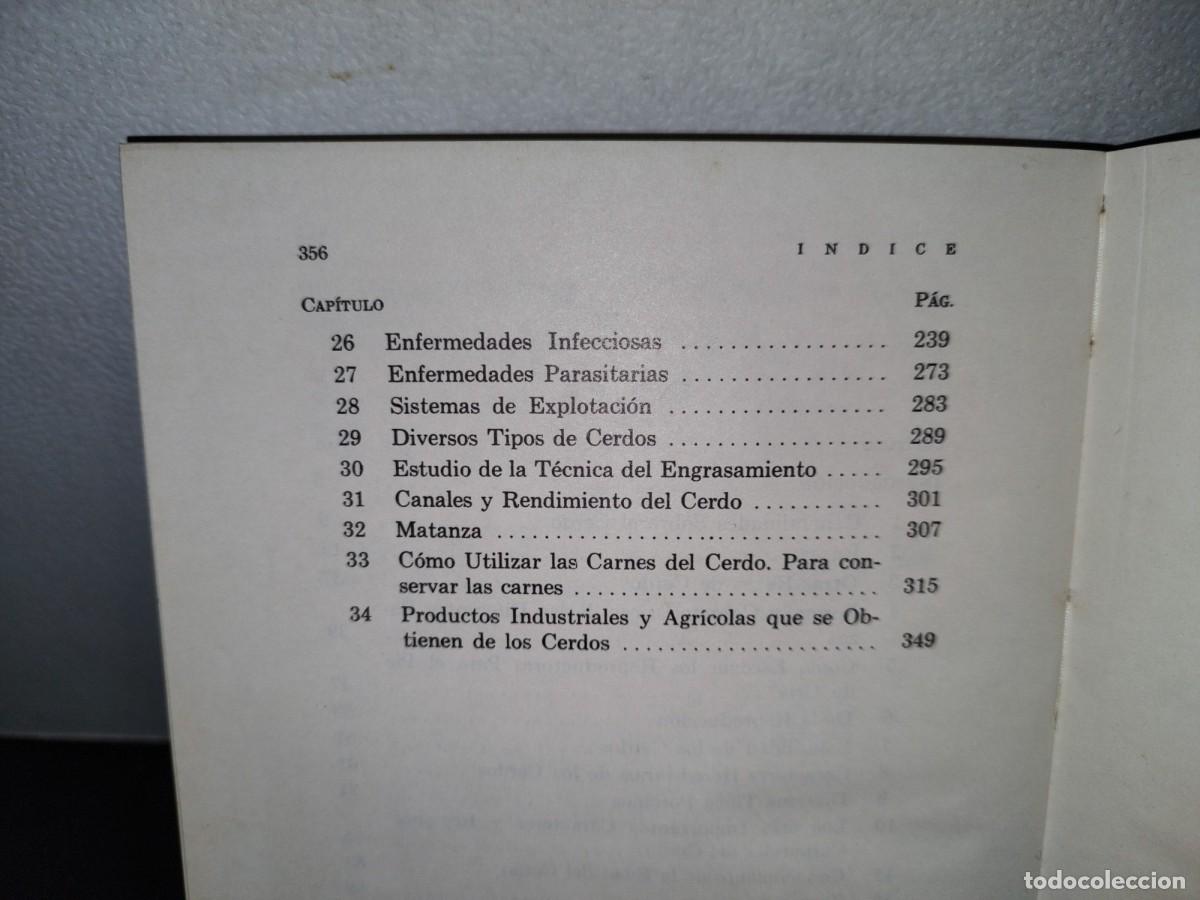 Libros de segunda mano: 58- EL CERDO. SU CR&Iacute;A Y EXPLOTACI&Oacute;N - LEOPOLDO ESCAMILLA ARCE - Foto 7