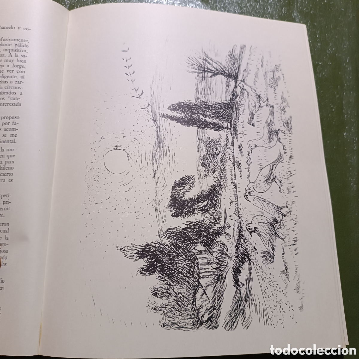 Libros de segunda mano: LA MANCHA ENTRE DOS LUCES, JES&Uacute;S DE LUCAS S&Aacute;NCHEZ - Foto 2