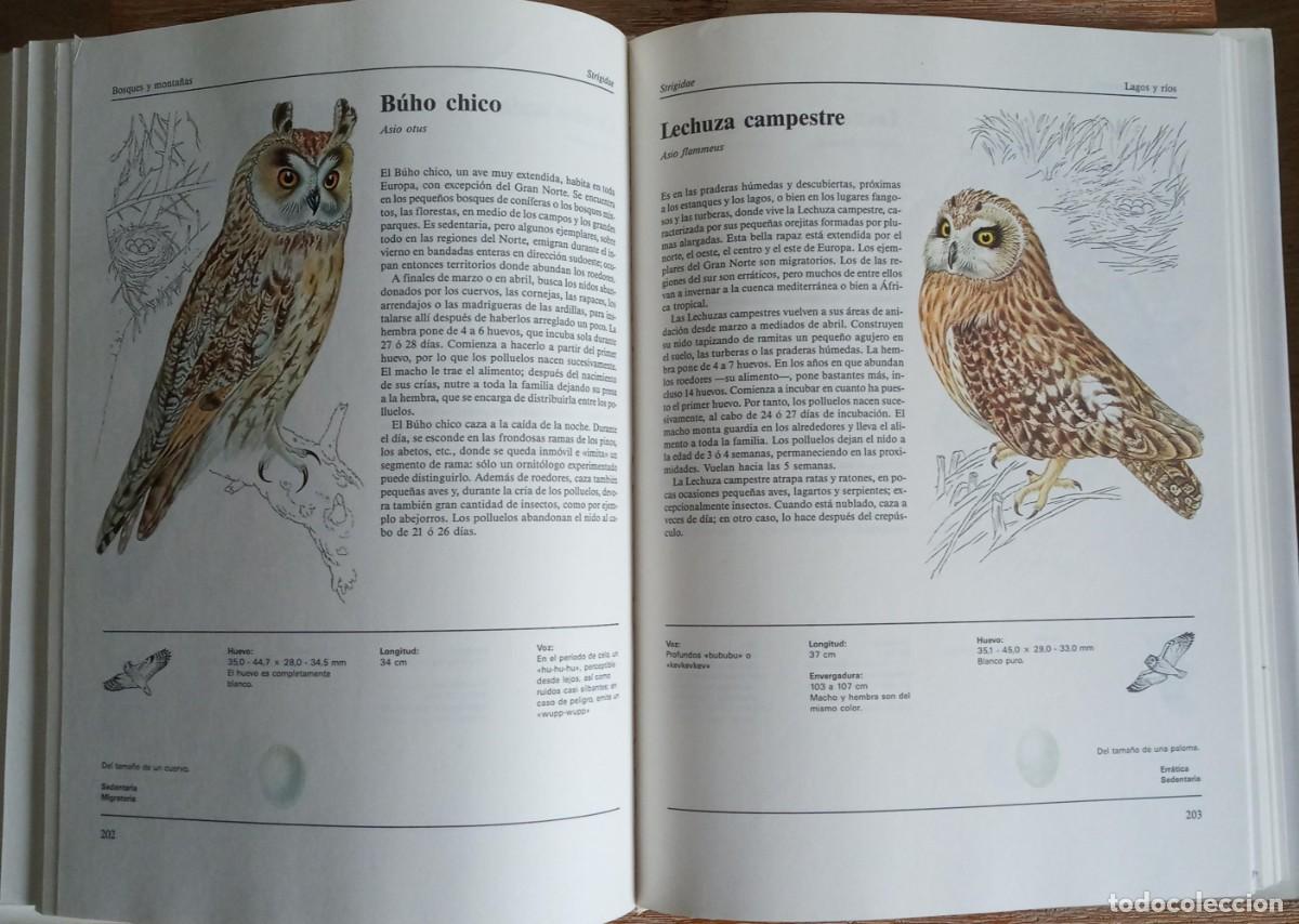 Libros de segunda mano: EL GRAN LIBRO DE LAS AVES DE EUROPA - SUSAETA - Foto 3