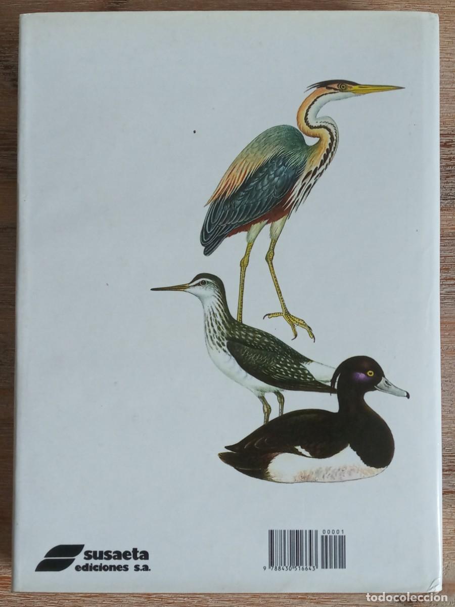 Libros de segunda mano: EL GRAN LIBRO DE LAS AVES DE EUROPA - SUSAETA - Foto 4