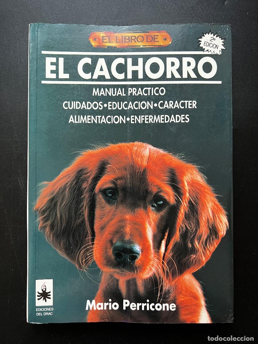 Libros de segunda mano: EL LIBRO DEL CACHORRO. MARIO PERRICONE. ED. DEL DRAC. 2&ordf; ED. MADRID, 1993. PAGS: 252. - Foto 1